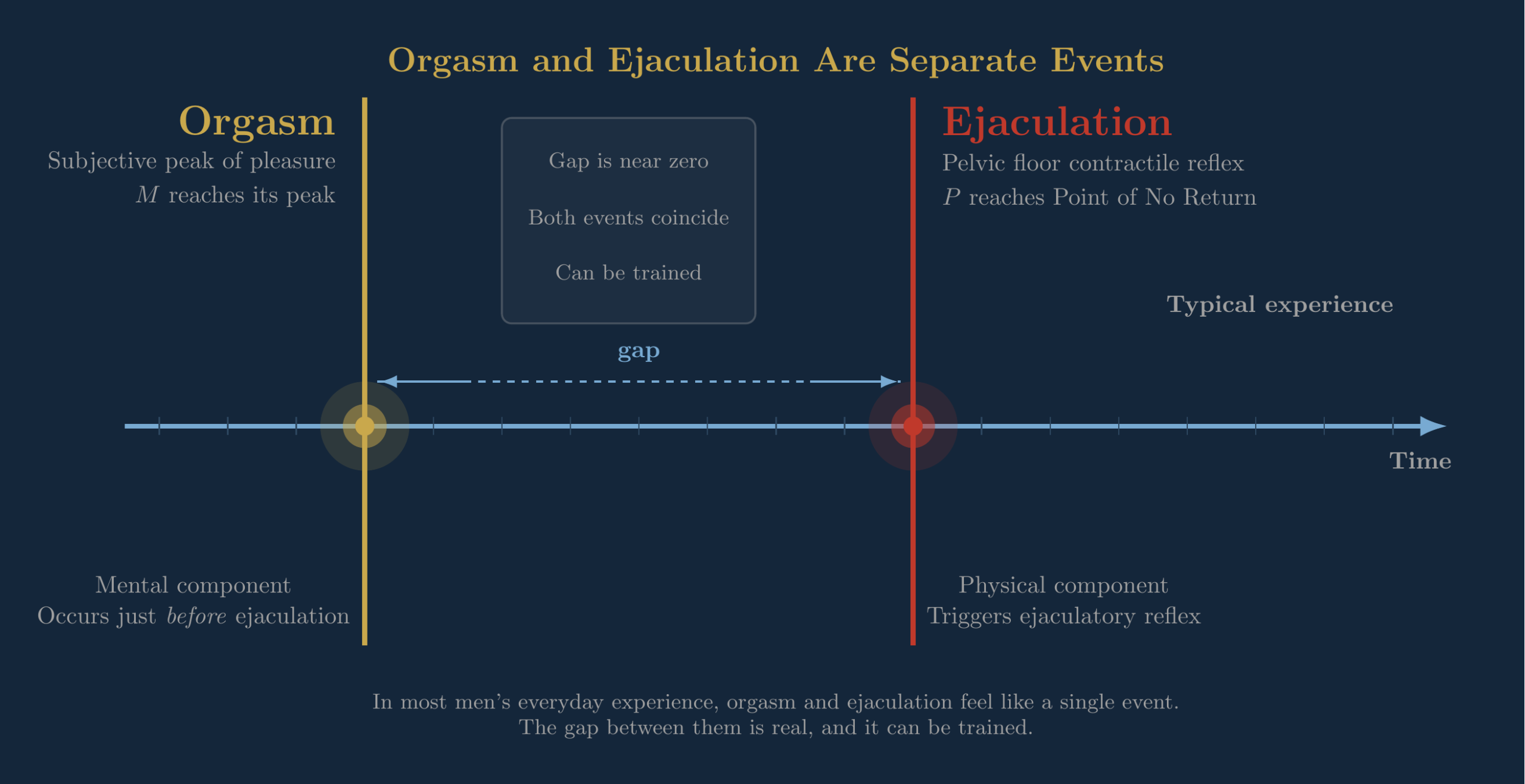 The Multi-Orgasmic Man: What the Concept Gets Right and What’s Missing