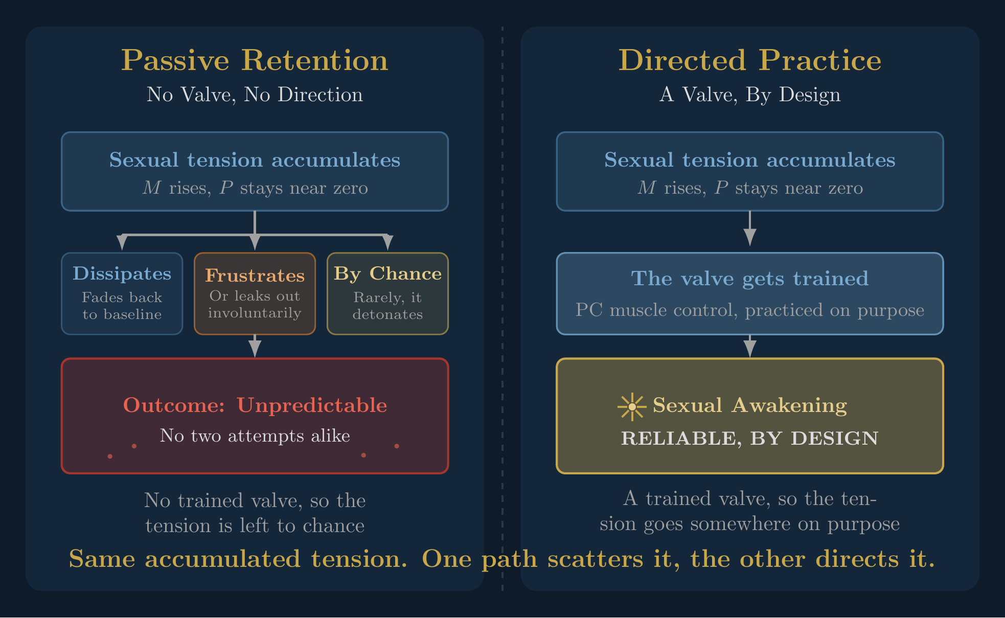 The Real Semen Retention Benefits, and Why Most Lists Get Them Wrong