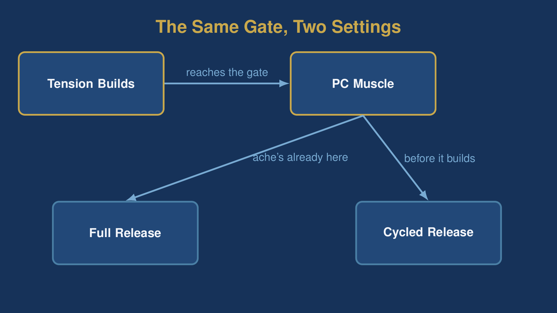 Diagram of the PC muscle gate showing full-release blue balls relief versus a cycled release used before tension builds