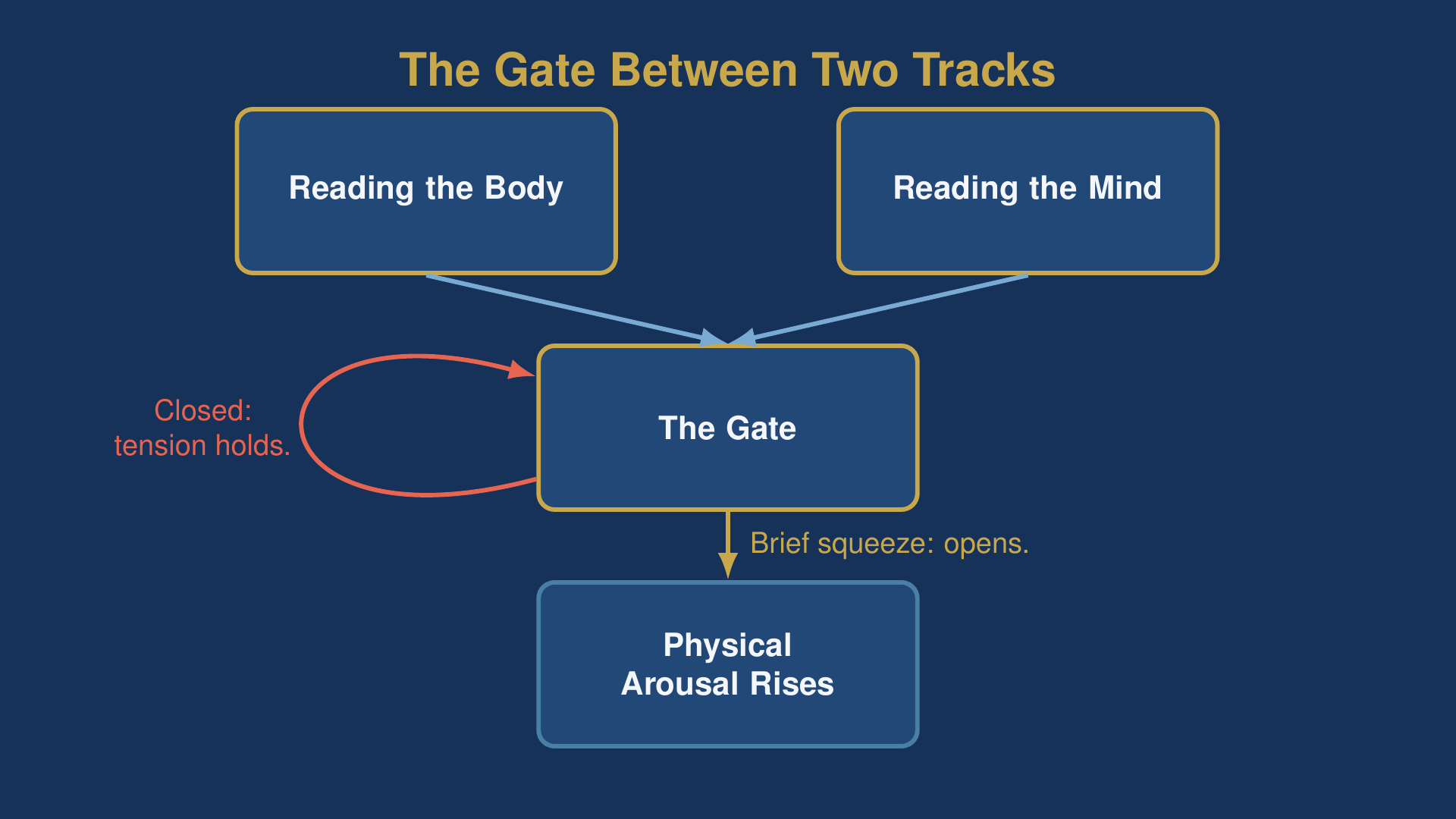 diagram of body awareness split into reading the body and reading the mind converging on the gate