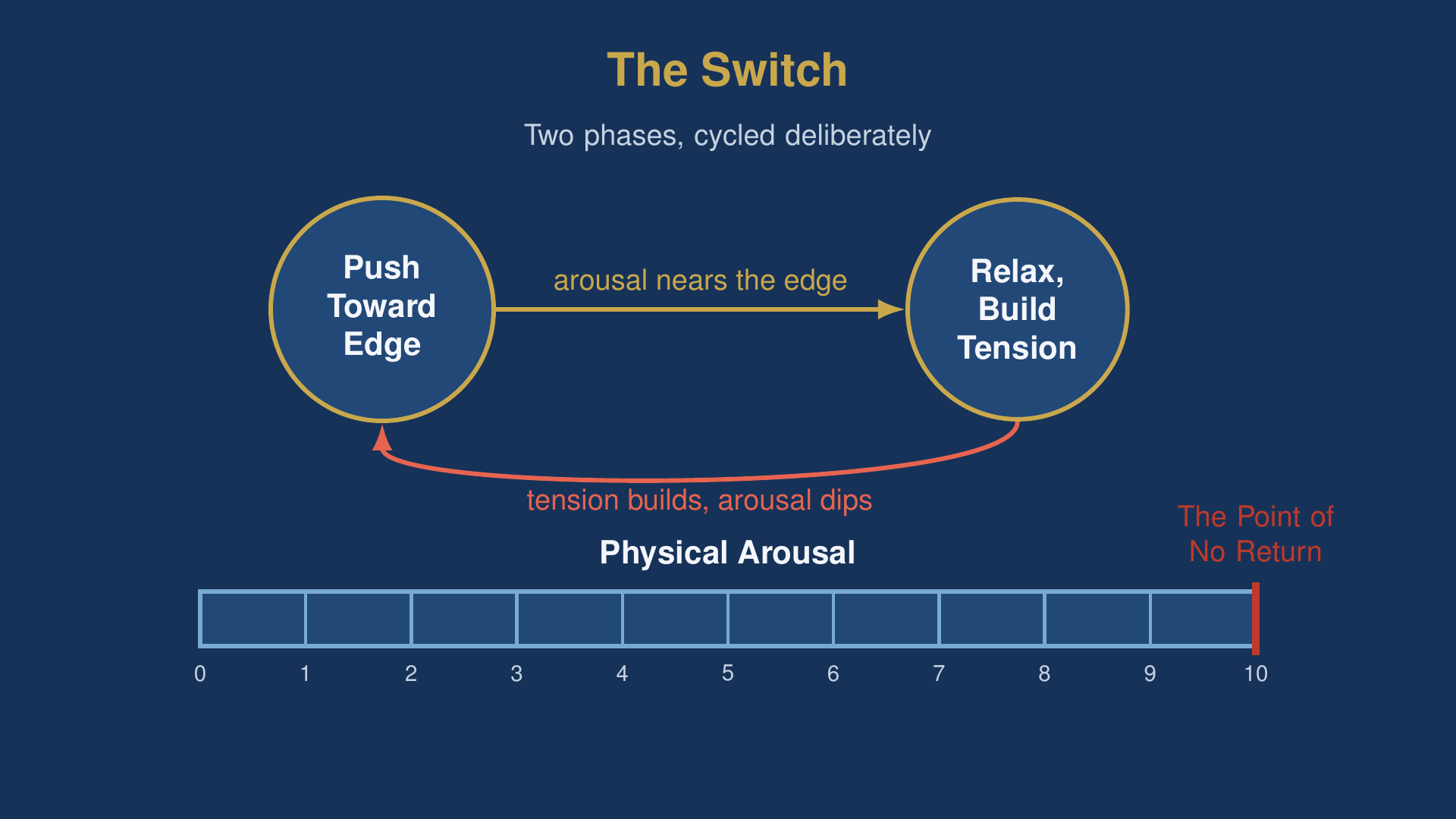 Diagram of the switch cycle, the two-phase ejaculation control exercises structure of pushing toward the edge and relaxing to build tension