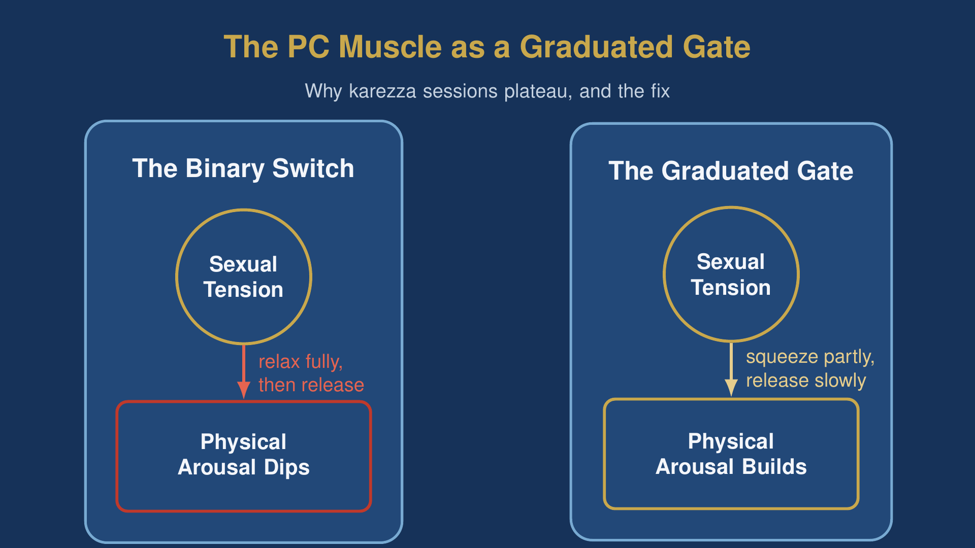 diagram comparing the binary switch and the graduated gate for karezza sexual tension