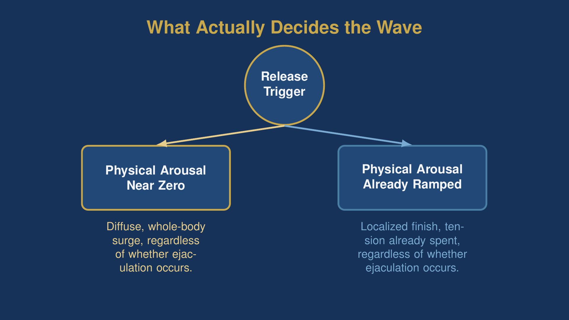 Diagram of what decides a lingam tantra whole-body release versus a local finish
