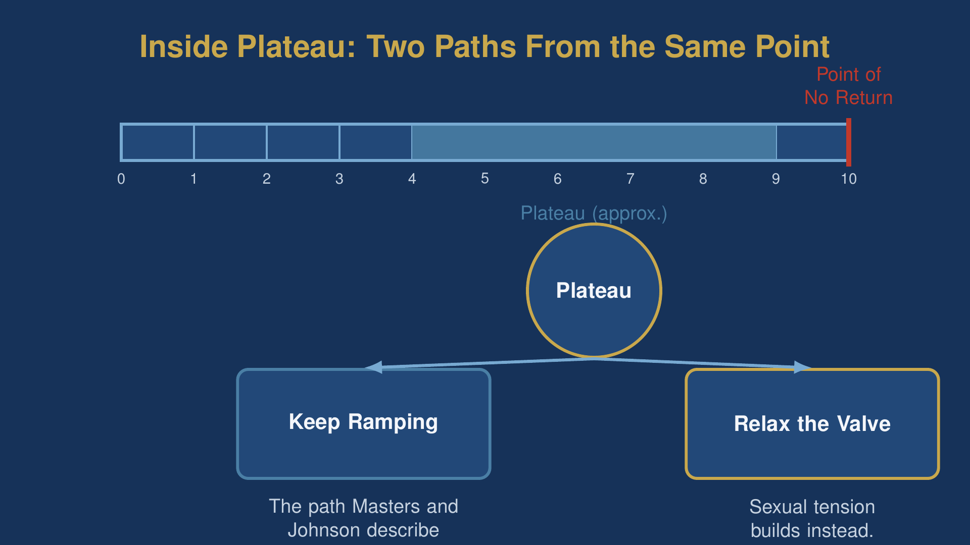 Masters and Johnson stages of arousal diagram showing the plateau band and the branch between riding the ramp and relaxing the valve