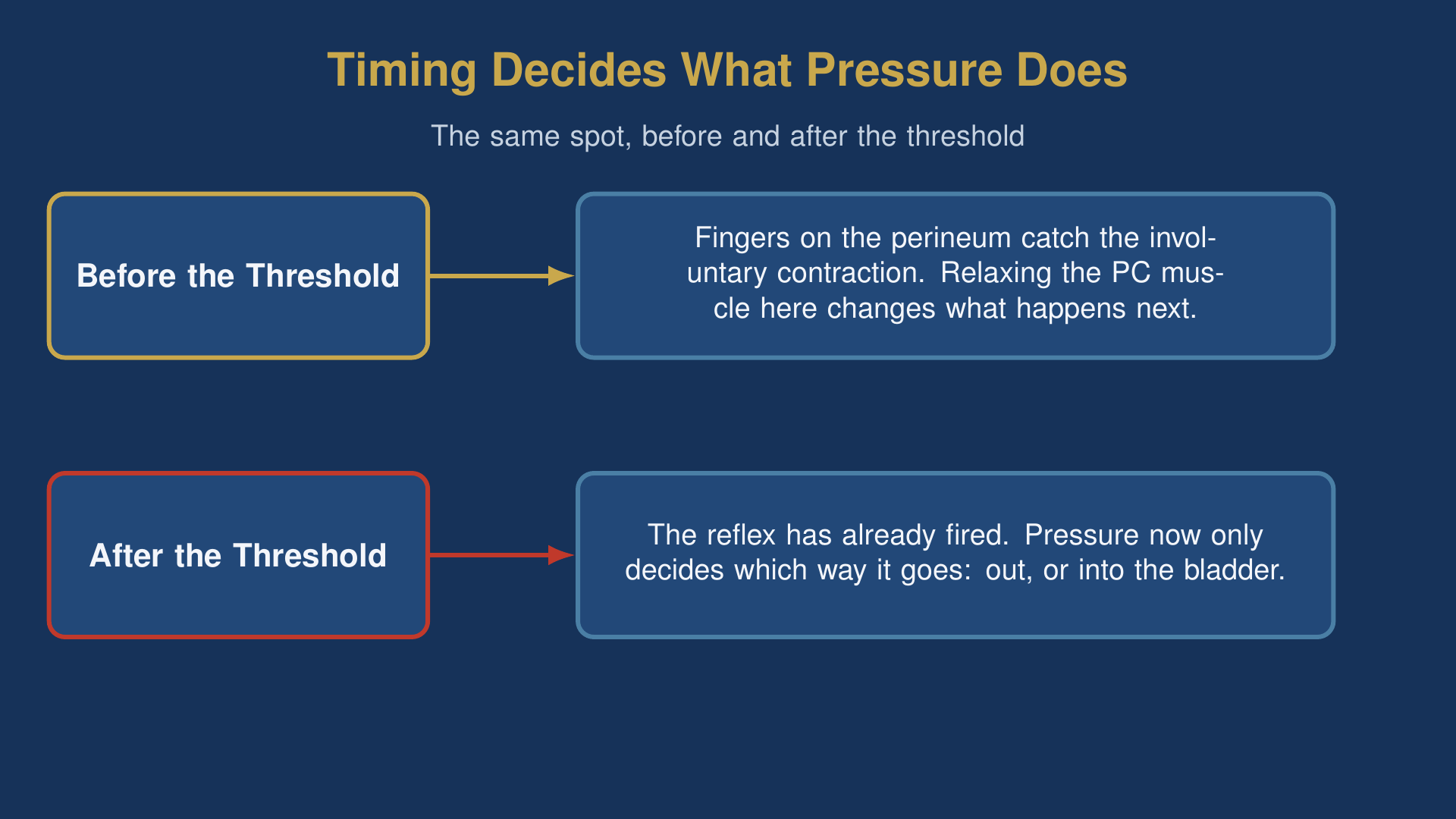 Diagram showing how timing changes what the perineum pressure point does before and after the threshold