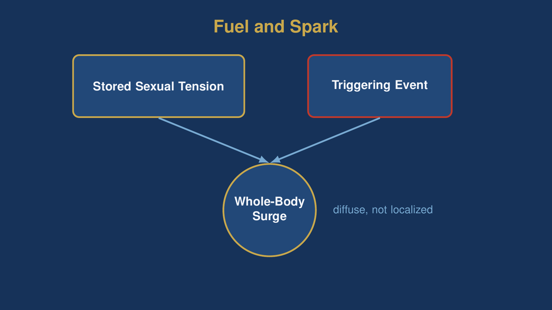 diagram of the sexual awakening mechanism: stored sexual tension and a triggering event converging into a whole-body surge