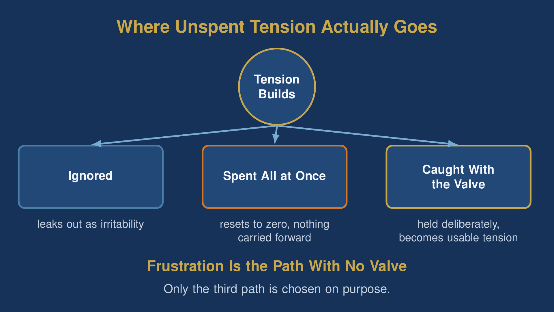 diagram of being sexually frustrated showing where unspent tension goes: ignored, spent, or caught with the valve