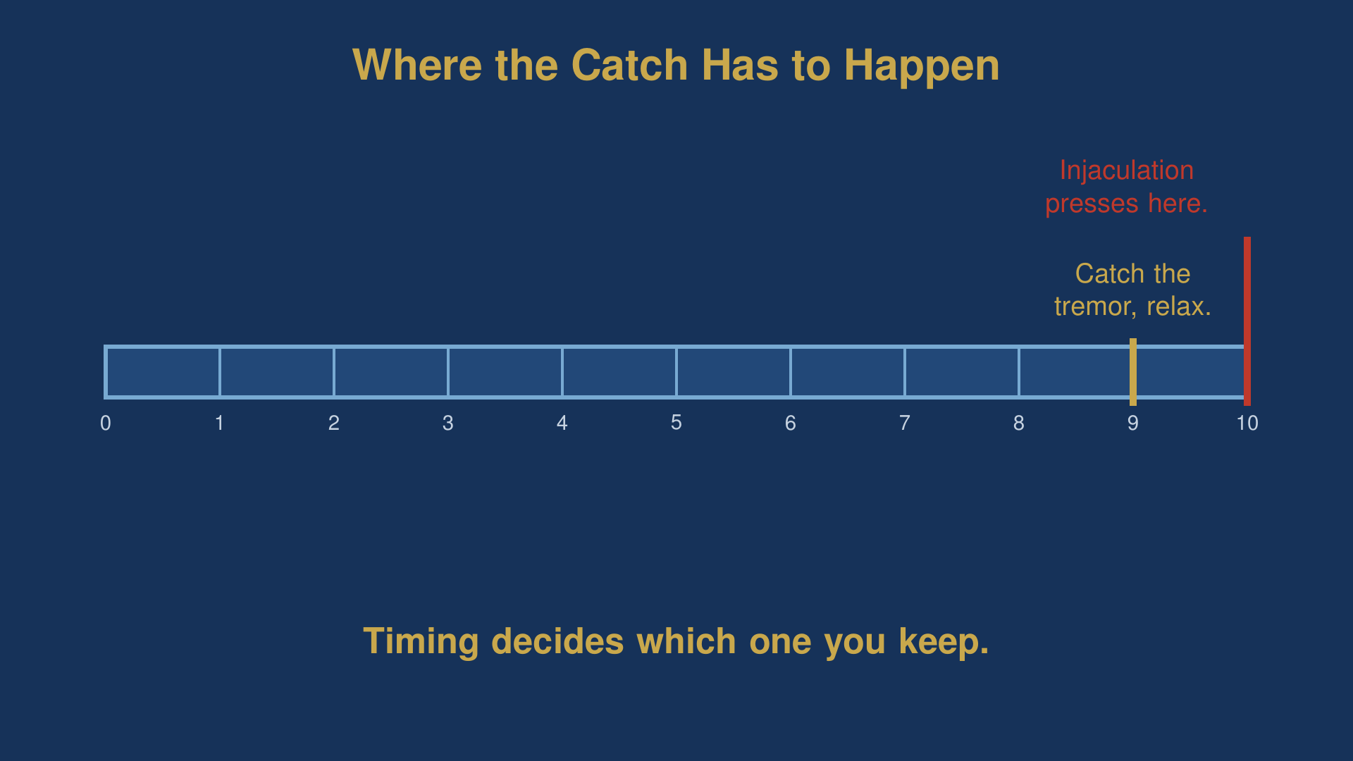injaculation diagram marking the ejaculatory reflex at 10 against the earlier catch point at 9 on the physical arousal scale