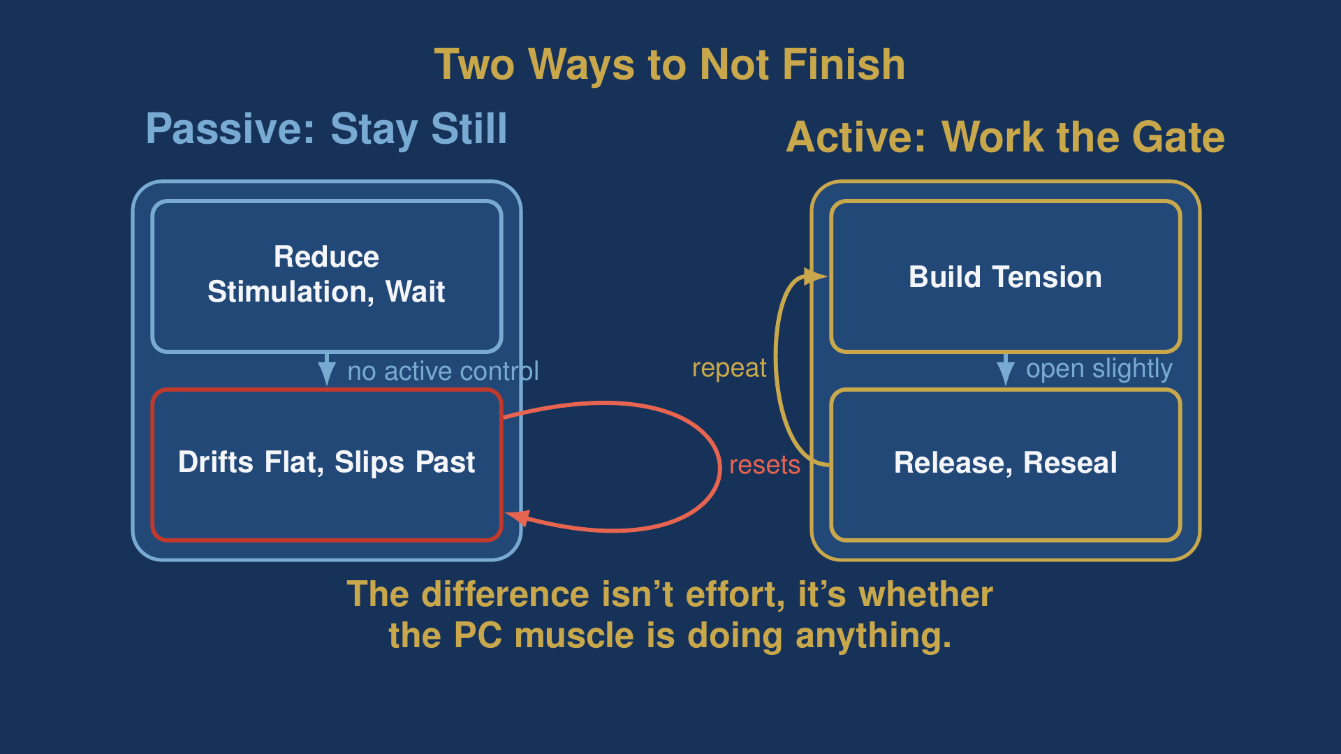 karezza diagram comparing passive stillness with actively working the PC-muscle gate