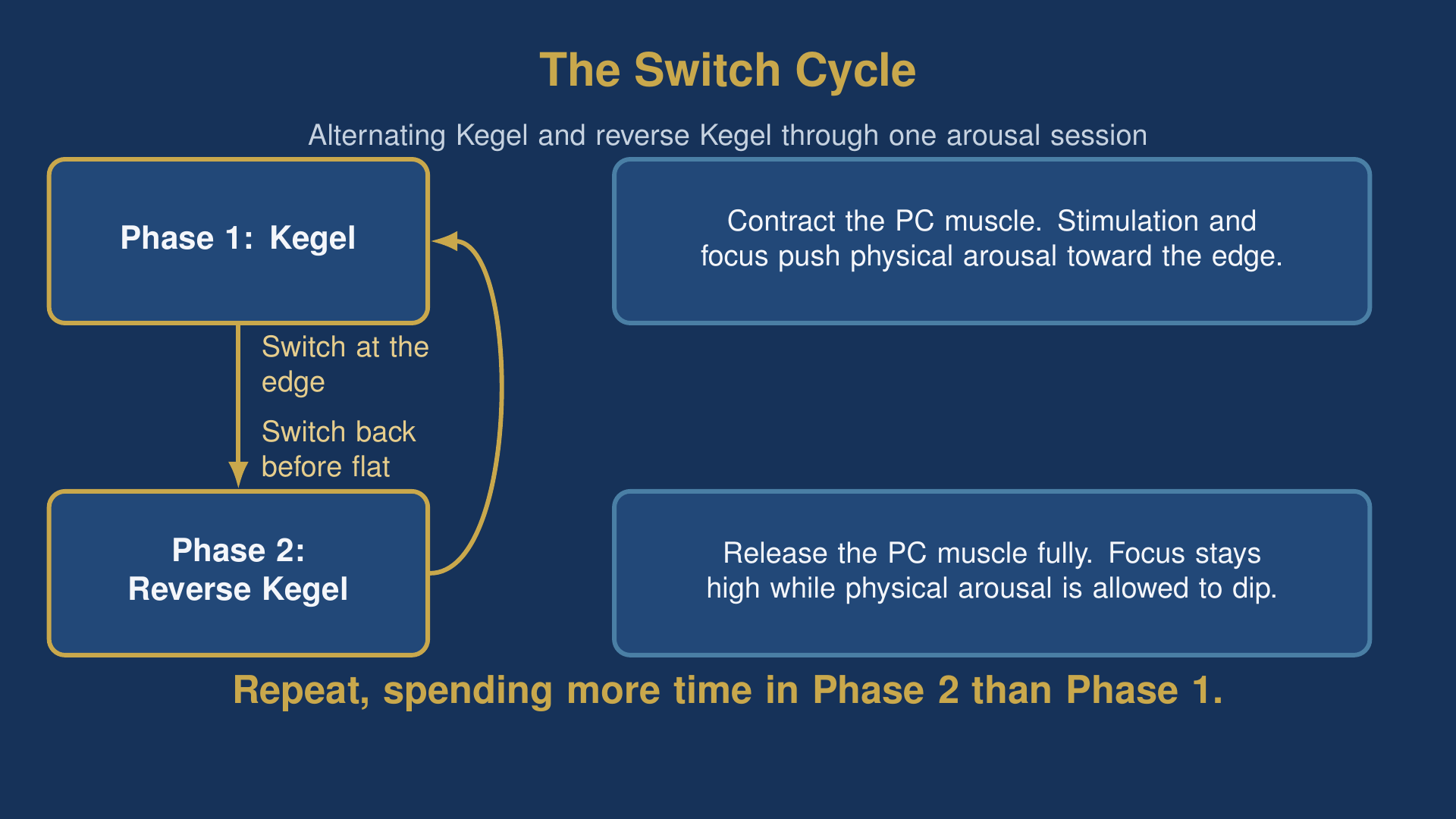 diagram of the kegel and reverse kegel exercises switch cycle alternating phase 1 contract and phase 2 release