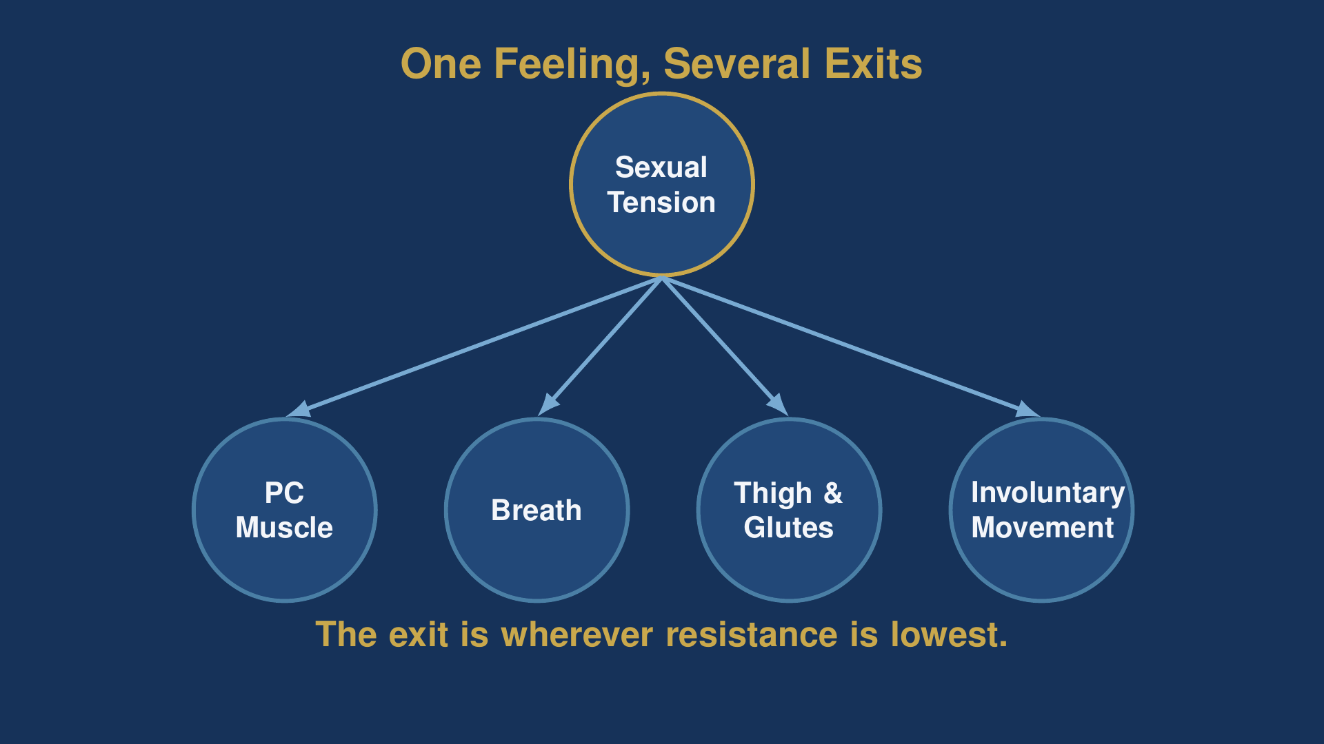 microcosmic orbit diagram showing rising sexual tension branching into four physical outlets