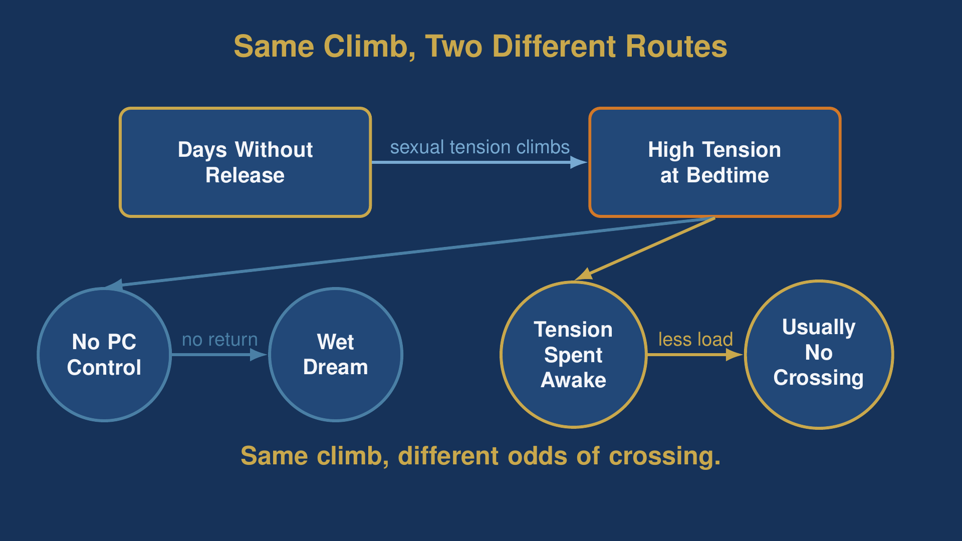 A flow diagram of two routes a nofap wet dream can take on a given night, one ending in a nocturnal emission and one ending after a pre-sleep check.