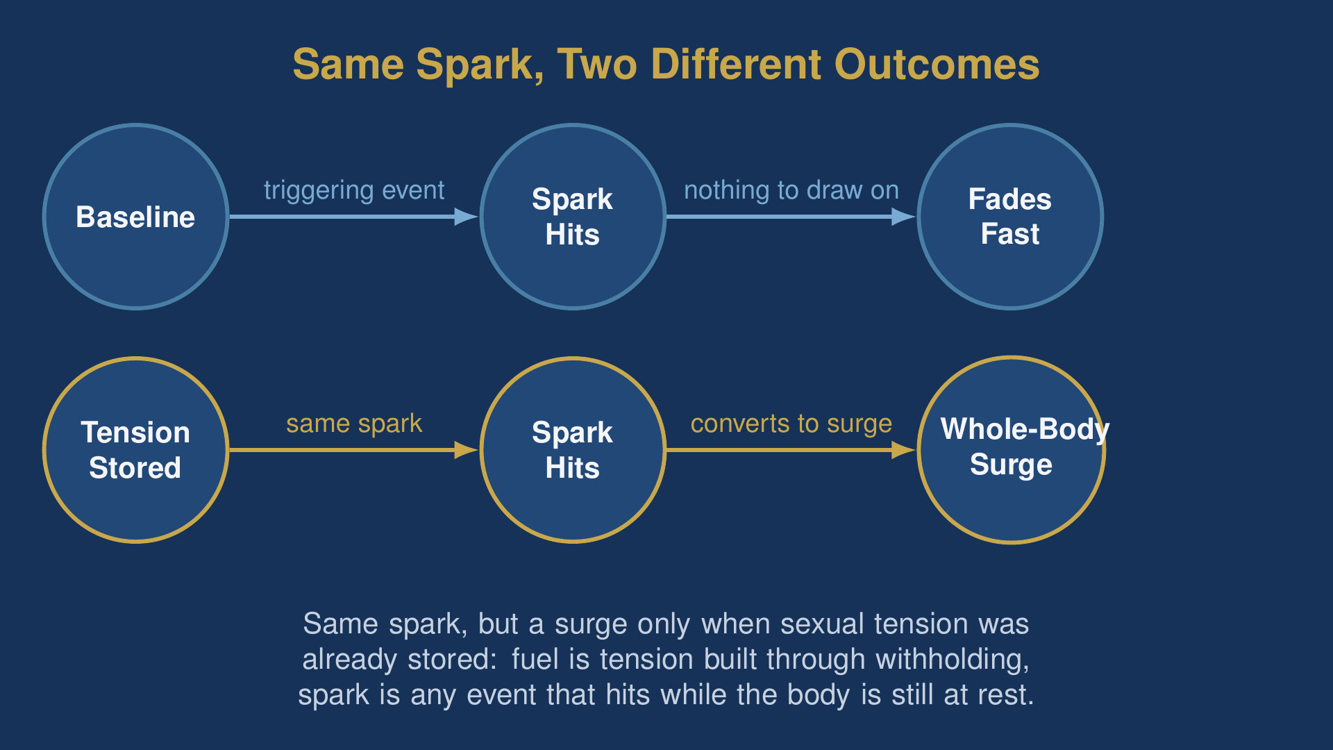 diagram showing a sexual awakening only occurs when stored sexual tension meets a spark